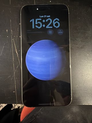 iPhone 15 Pro Max 256GB Titanio Naturale