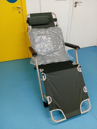 Tumbona Reclinable Plegable con Cojín