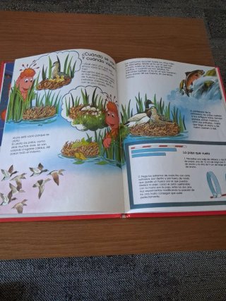 Libro . Lo que sabe yupi de...