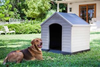 Caseta Perro Resina Curver