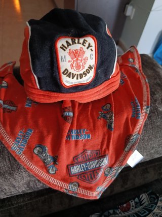 Conjunto Harley Davidson Baberos