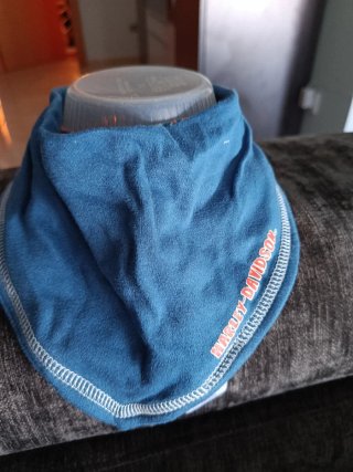 Conjunto Harley Davidson Baberos