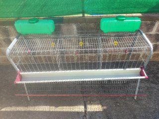 Jaula para conejos/gallinas