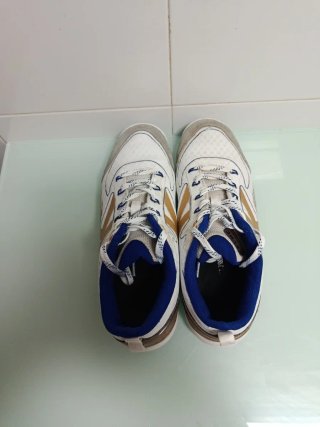 Zapatillas kelme futbol sala