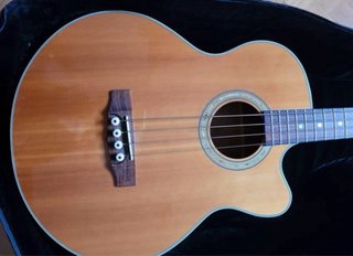 Bajo Acústico Cort SJ-B CE