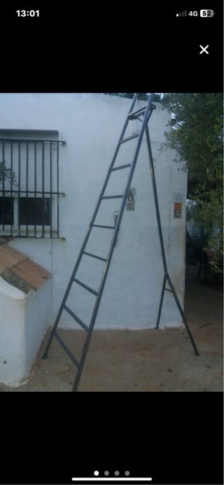 Escalera para recoger aceitunas