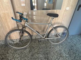 Bicicleta Marin Plata
