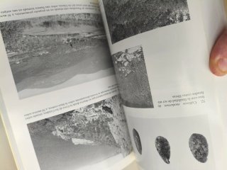 ARQUEOLOGÍA DE LAS PLANTAS RAMON BUXÓ ED. CRÍTICA