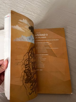 Lengua castellana y literatura, 1 BACH.