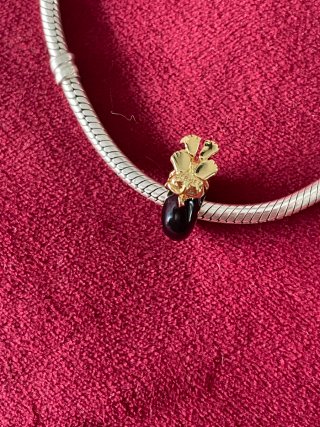 Charm Scar Disney