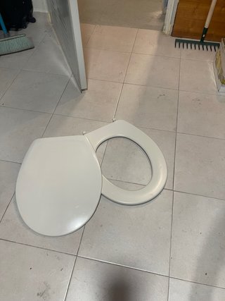 Tapa asiento inodoro color perla “Victoria “Roca