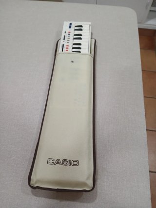 Teclado Casio PT-20 Vintage Años 80