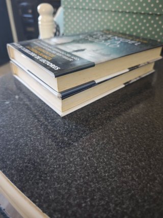 El libro negro de las horas  El ángel de la ciudad