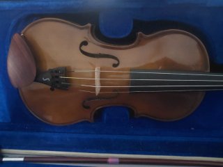 Viola Stentor 13 pulgadas