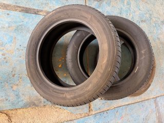 Neumáticos Bridgestone 205.55.16 91V
