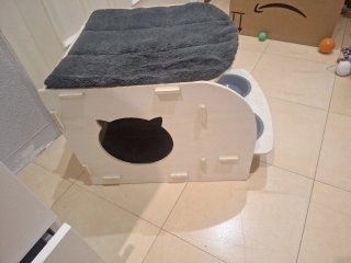 Caseta de madera para gatos