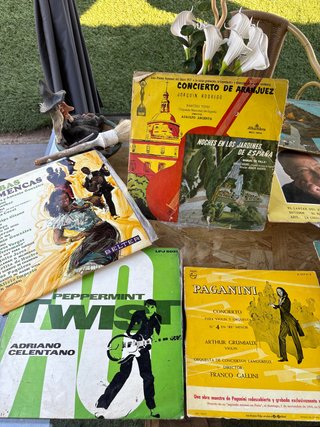 Lote de discos antiguos: Clásica, Flamenco, Pop