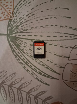 FC 24 Nintendo Switch