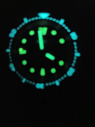 Reloj Seiko mod. Tortuga