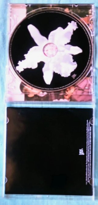 Kings of Leon Aha Shake Heartbreak cd
