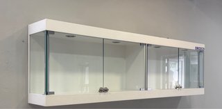 VITRINA EXPOSITOR cristal y madera. Como nuevo.