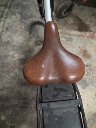 Bicicleta Eléctrica Paseo