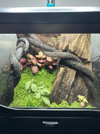 Terrario Exo Terra Nano