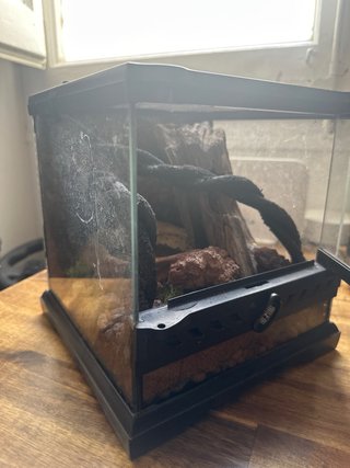 Terrario Exo Terra Nano