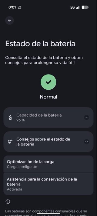 Google Pixel 9 Pro XL Negro/Gris