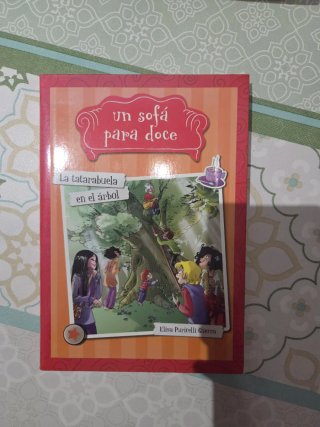 Libro un sofa para doce