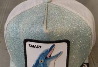 2 Gorras Goorin Bros Golden y Smart