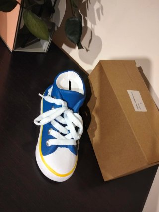 Hucha Zapatilla Azul