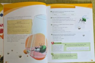 Lengua 4o Primaria (Tres Trimestres)