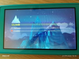 Nintendo Switch lite *LEER*