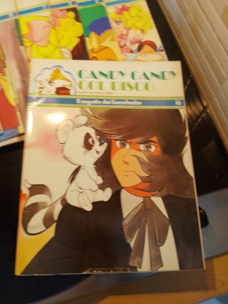 Candy Candy libro illustrativo + 45 giri