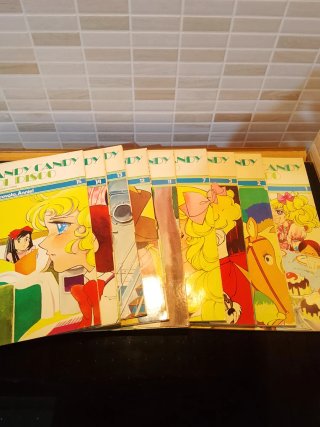 Candy Candy libro illustrativo + 45 giri