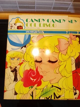 Candy Candy libro illustrativo + 45 giri