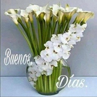 Masajista Mery