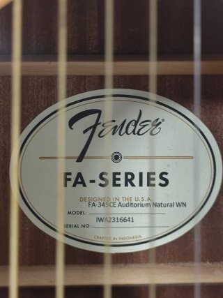 Guitarra semi-acústica Fishman