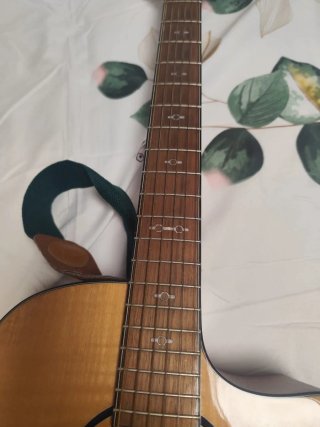 Guitarra semi-acústica Fishman