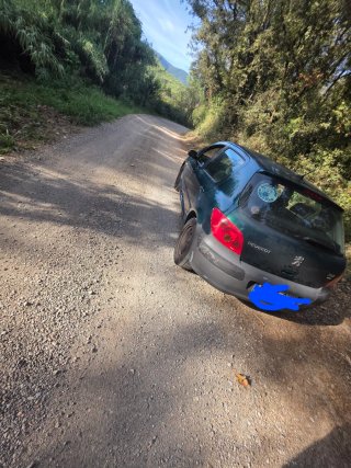 Peugeot 307 2004