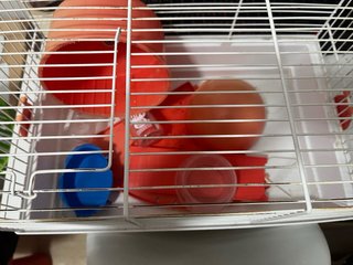 Jaula y transportin hamster
