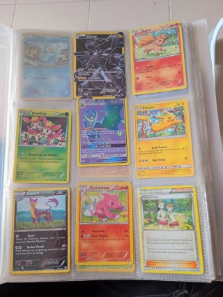 Colección Cartas Pokémon M Charizard EX Mega Venus
