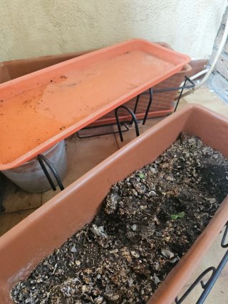 set de jardinera colgante -armazón+maceta+plato