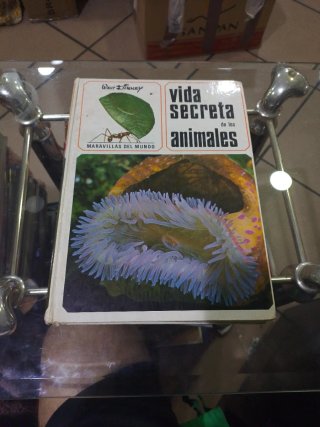 Libro Vintage Walt Disney Vida Secreta Animales