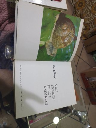 Libro Vintage Walt Disney Vida Secreta Animales