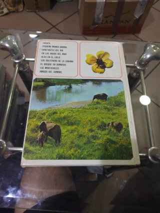 Libro Vintage Walt Disney Vida Secreta Animales