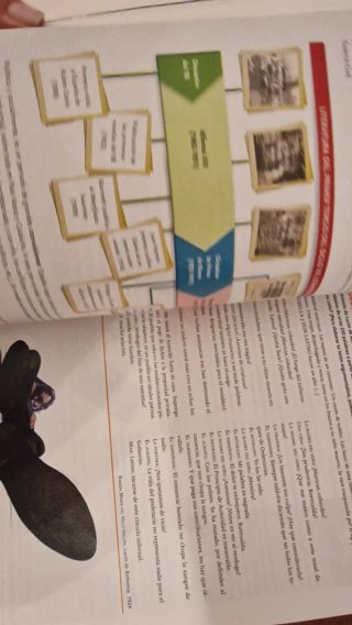 Lengua castellana y literatura, 2 BACH.