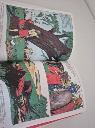 Libro "La historia de la Humanidad" en 7000 ilustr