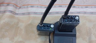Teltronic PR316m Radio Teléfono